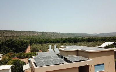 משפחת אדמוני, עמקה - מערכת ביתית