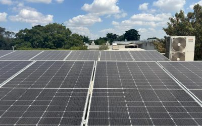 משפחת פורטל, רינתיה מערכת ביתית